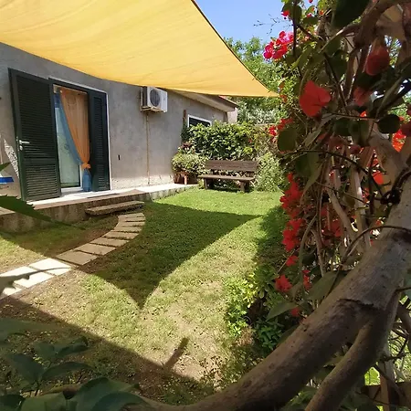 Fangati
